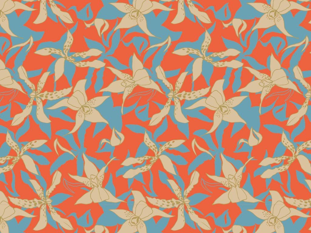 Extraits de collections