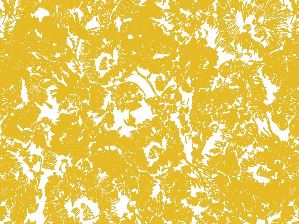 Extraits de collections