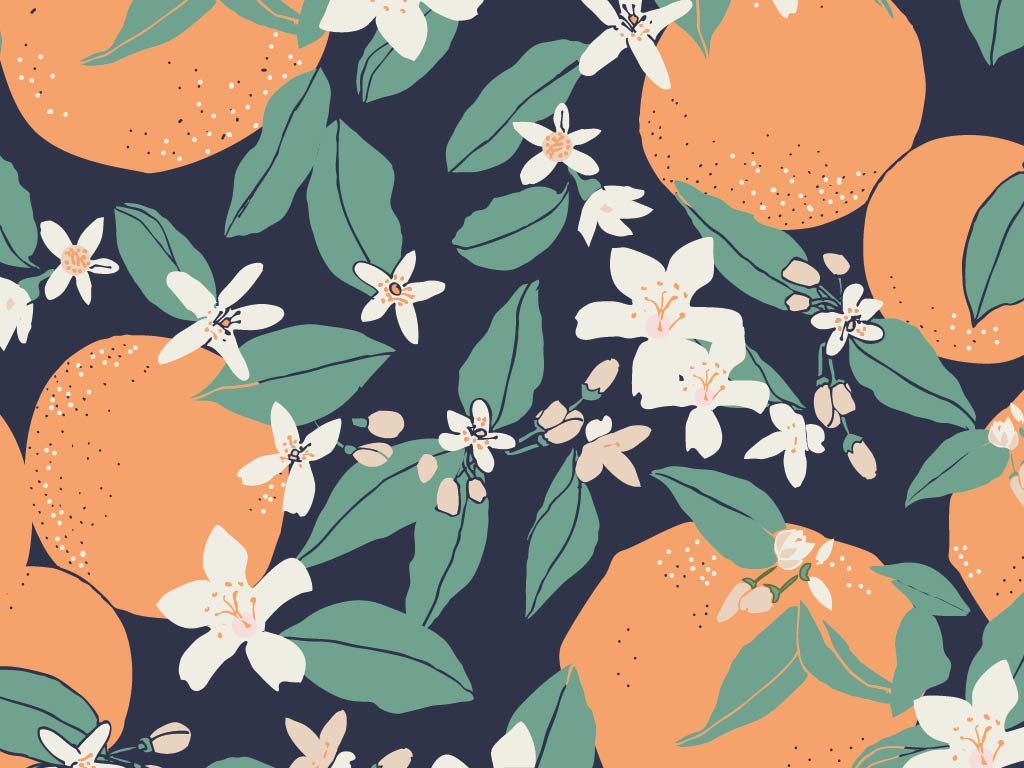 Extraits de collections