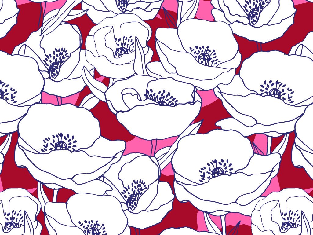 Extraits de collections